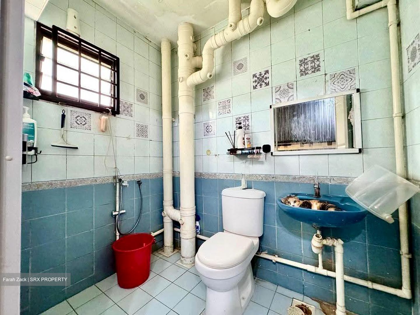 Blk 302A Anchorvale Court (Sengkang), HDB 4 Rooms #607450171